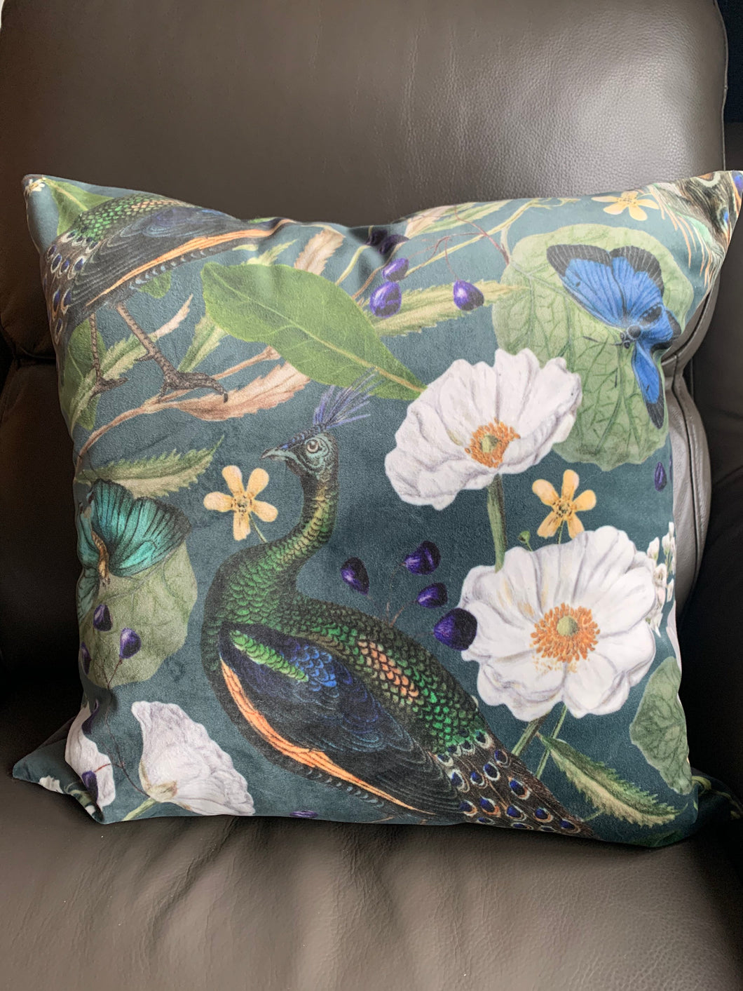 Velvet Peacock in Nature Cushion